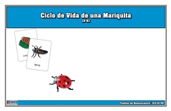 Ciclo de Vida de una Mariquita (3-6) (Printed)