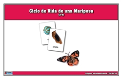 Tarjetas de Nomenclatura del Ciclo de Vida de una Mariposa (Printed)