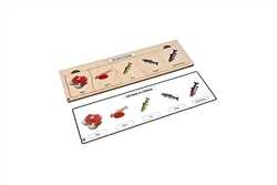 Life Cycle of a Salmon Puzzle