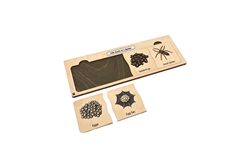 Life Cycle Set: Spider