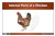Internal Parts of a Chicken Nomenclature Cards (6-9) (Printed)