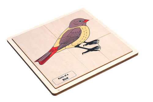 Parts of a Bird Puzzle (Elementary) (Clearance)