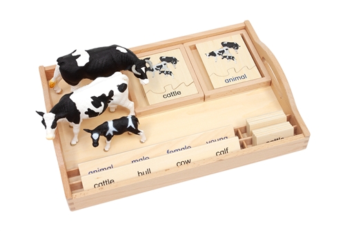 Animal Family - Cattle