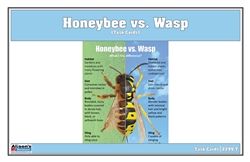 Honeybee vs Wasp Task Cards