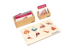 Types of Seashells Complete Set