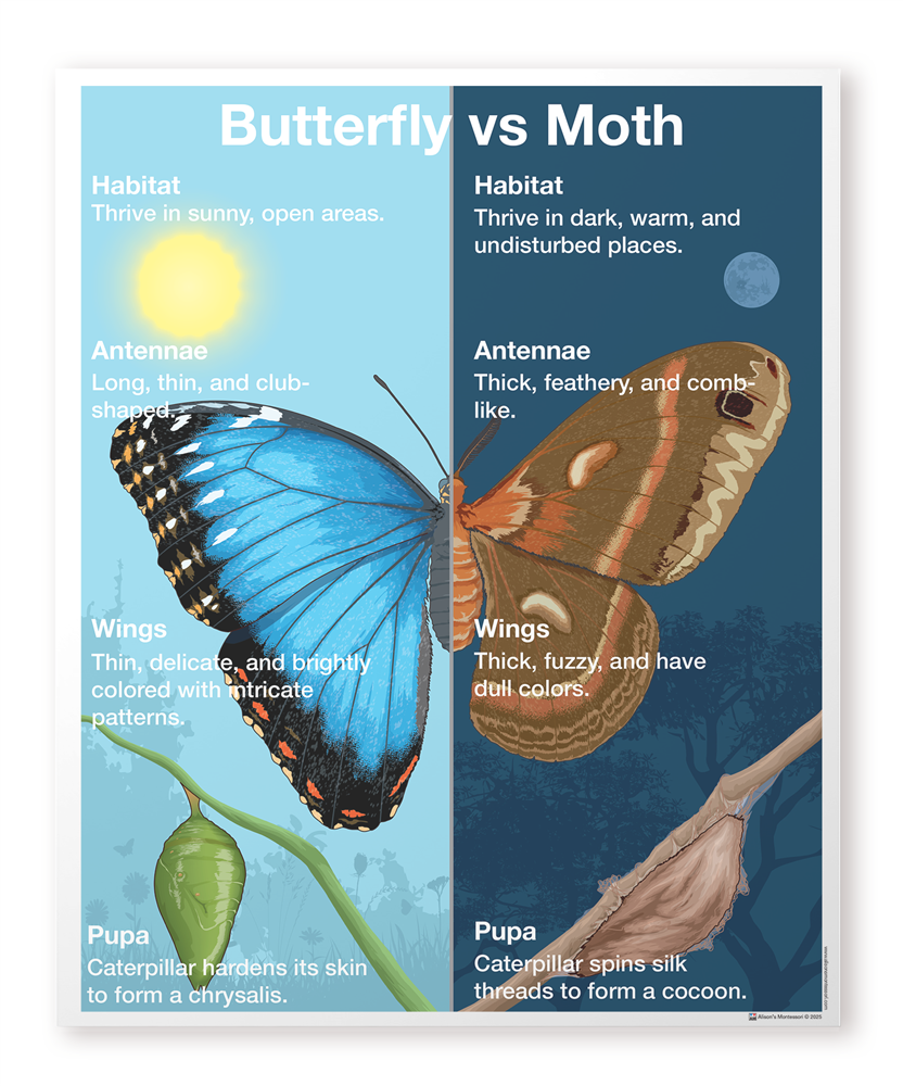 Butterfly vs Moth Control Chart