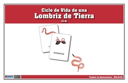 Tarjetas de Nomenclatura del Ciclo de Vida de una Lombriz de Tierra (Printed)