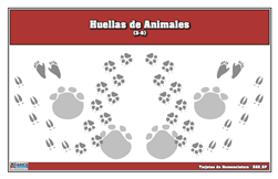 Tarjetas de Nomenclatura de Huellas de Animales (Printed)