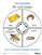 Life Cycle of a Bee