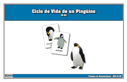 Tarjetas de Nomenclatura del Ciclo de Vida de un Pingüino (Printed)