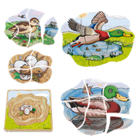 Layer Puzzle - Duck