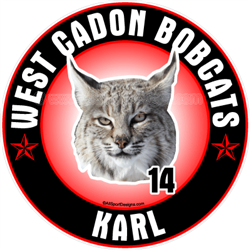 Bobcat wildcat car window sticker decals magnets TShirts