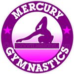 gymnastics stickers decals clings & magnets