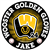 Golden Gloves car window sticker decal magnet