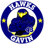 Hawk car window sticker decals