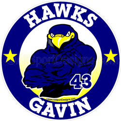 Hawk car window sticker decals