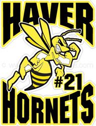 Hornet car window sticker decals