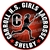 lacrosse girl decals stickers clings & magnets