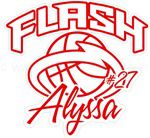 TN Lady Flash basketball stickers decals magnets & wall decals