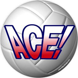 Volleyball window sticker decal clings & magnets
