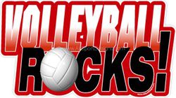 Volleyball window sticker decal clings & magnets