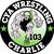 wrestling window sticker decals clings & magnets