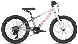 2021 Haro Flightline 20+" Kids Mountain Bike - Grey