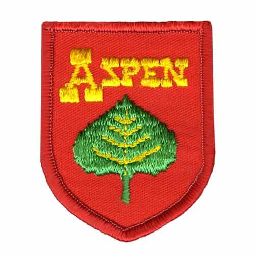 Aspen Green Leaf Vintage Ski Patch