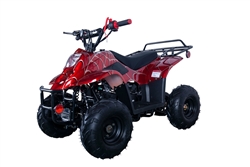 110cc Kids ATV, Apollo Hawk 110cc Kids ATV