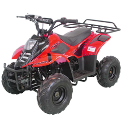 110cc Kids ATV, Apollo Hawk 110cc Kids ATV