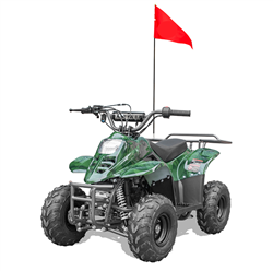 110cc Kids ATV, Apollo Hawk 110cc Kids ATV
