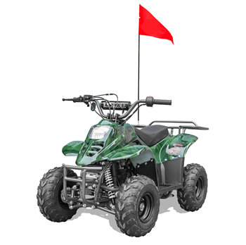 110cc Kids ATV, Apollo Hawk 110cc Kids ATV