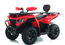 Apollo 250cc ATV CYBER ROAMER EFI, AP250ATV-CYBERROAMEREFI