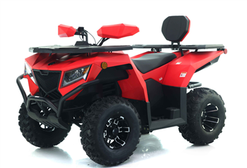 Apollo 250cc ATV CYBER ROAMER EFI, AP250ATV-CYBERROAMEREFI