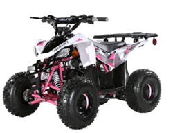 CL110ATV-3050B2