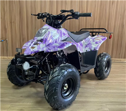 110cc Kids ATV, Apollo Hawk 110cc Kids ATV