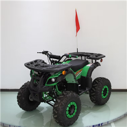RPS125ATV-MINIDESERT