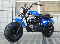 200cc TrailMaster Storm Bike
