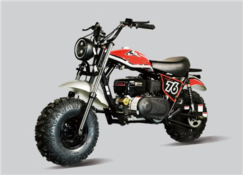 200cc TrailMaster Hurricane 200XBike