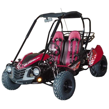 Trail Master 150cc Gokart