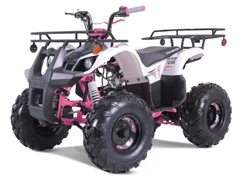 110cc ATV TaoTao T-Force 110 Mid Size ATV