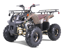 110cc ATV Tao Motor T-Force 110 Mid Size ATV