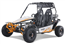 Tao Motor BAJA Sports 200cc Go Kart 200 GoKart Power Buggie