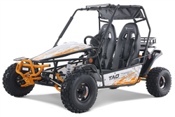 Tao Motor BAJA Sports 200cc Go Kart 200 GoKart Power Buggie