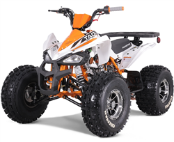125cc ATV Tao Motor Cheetah  Platinum 125 Mid Size ATV