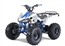 125cc ATV Tao Tao Cheetah Tao Motor 125cc G125 ATV