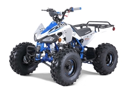 125cc ATV Tao Tao Cheetah Tao Motor 125cc G125 ATV
