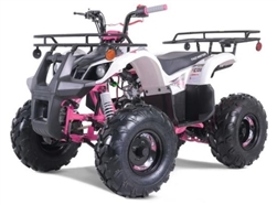 NEW Tao Motor D125 Kids ATV