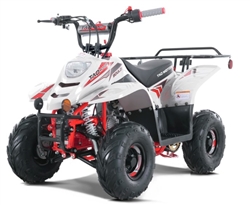 NEW Tao Motor 110cc Boulder  Kids ATV