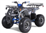 125cc ATV TaoTao T-Force  Platinum 125 Mid Size ATV